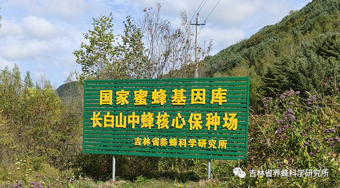 基因库.png